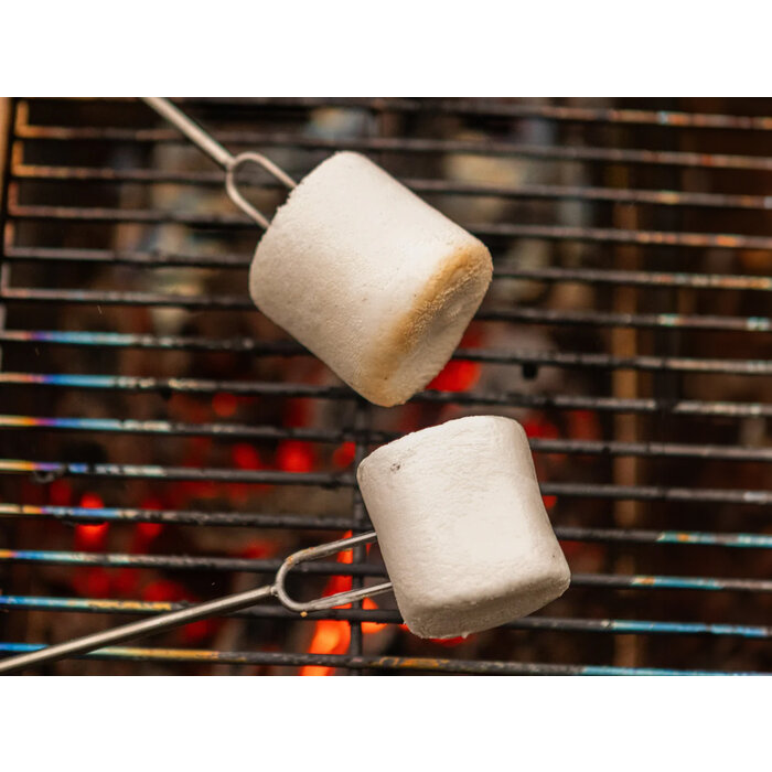 Uco Uco - Telescopische BBQ Spies - 2-Pack