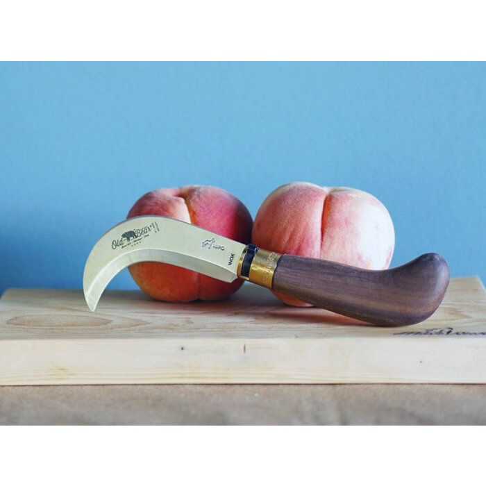 Old Bear Old Bear - Pruning - Walnoot - S