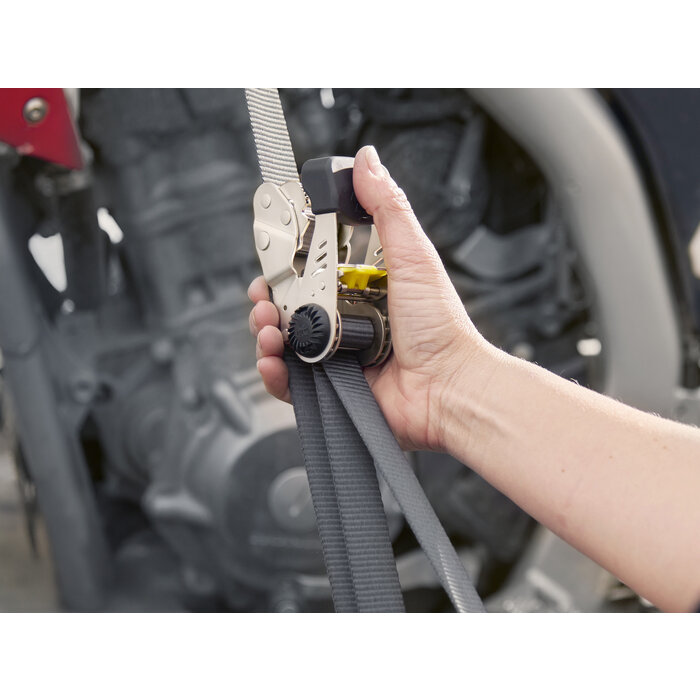 Nite Ize Nite Ize - CamJam HookLock Ratchet Strap - Large - 2 pack