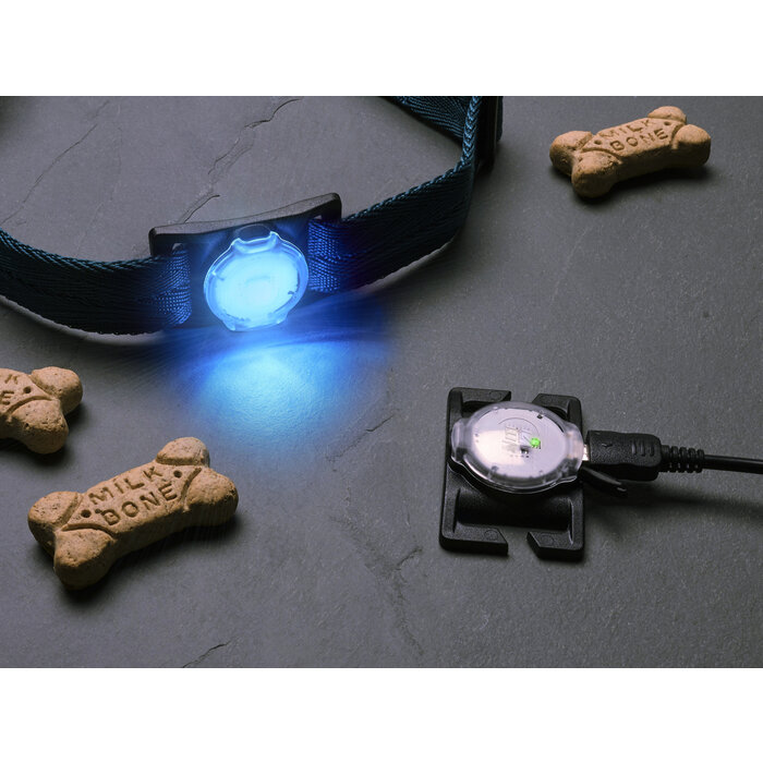 Nite Ize Nite Ize - NiteDog - Halsband Lampe Disco