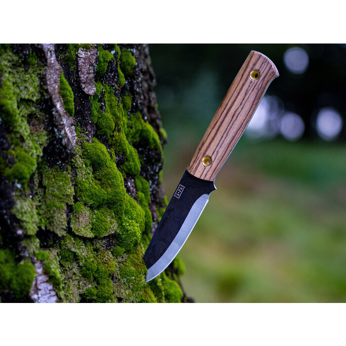 Zapas Zapas - Biwi - Bois zébré - M