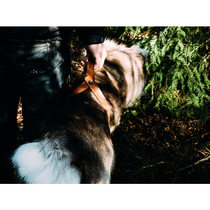 Dalum - Rentierfell - 130x90