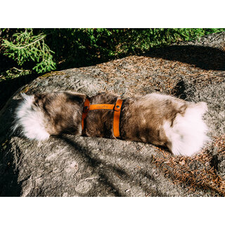 Dalum - Peau de renne - 130x90