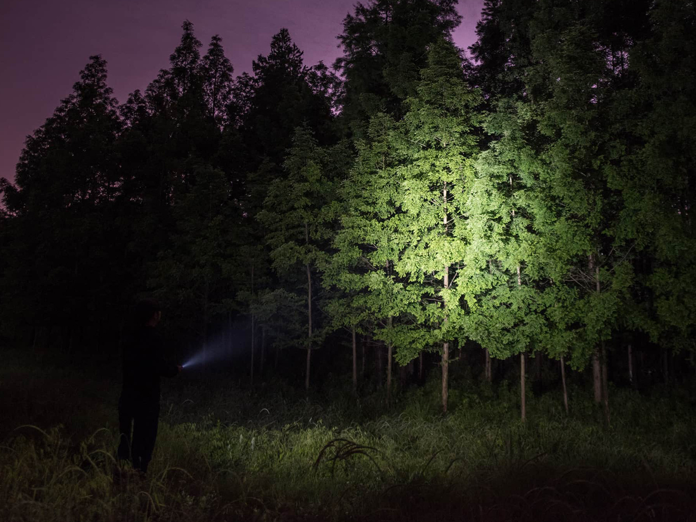 Olight Olight - I3T EOS - Shadow Dune