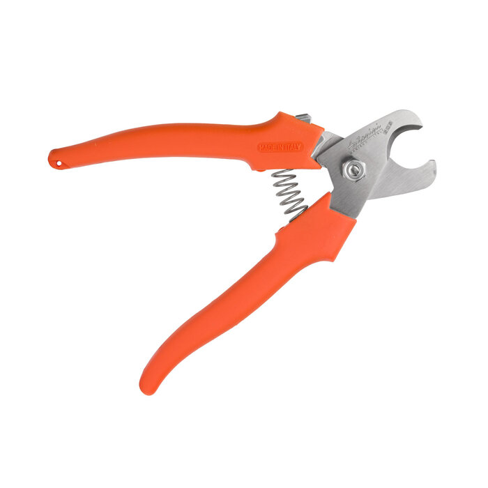 Antonini Antonini - Lobster