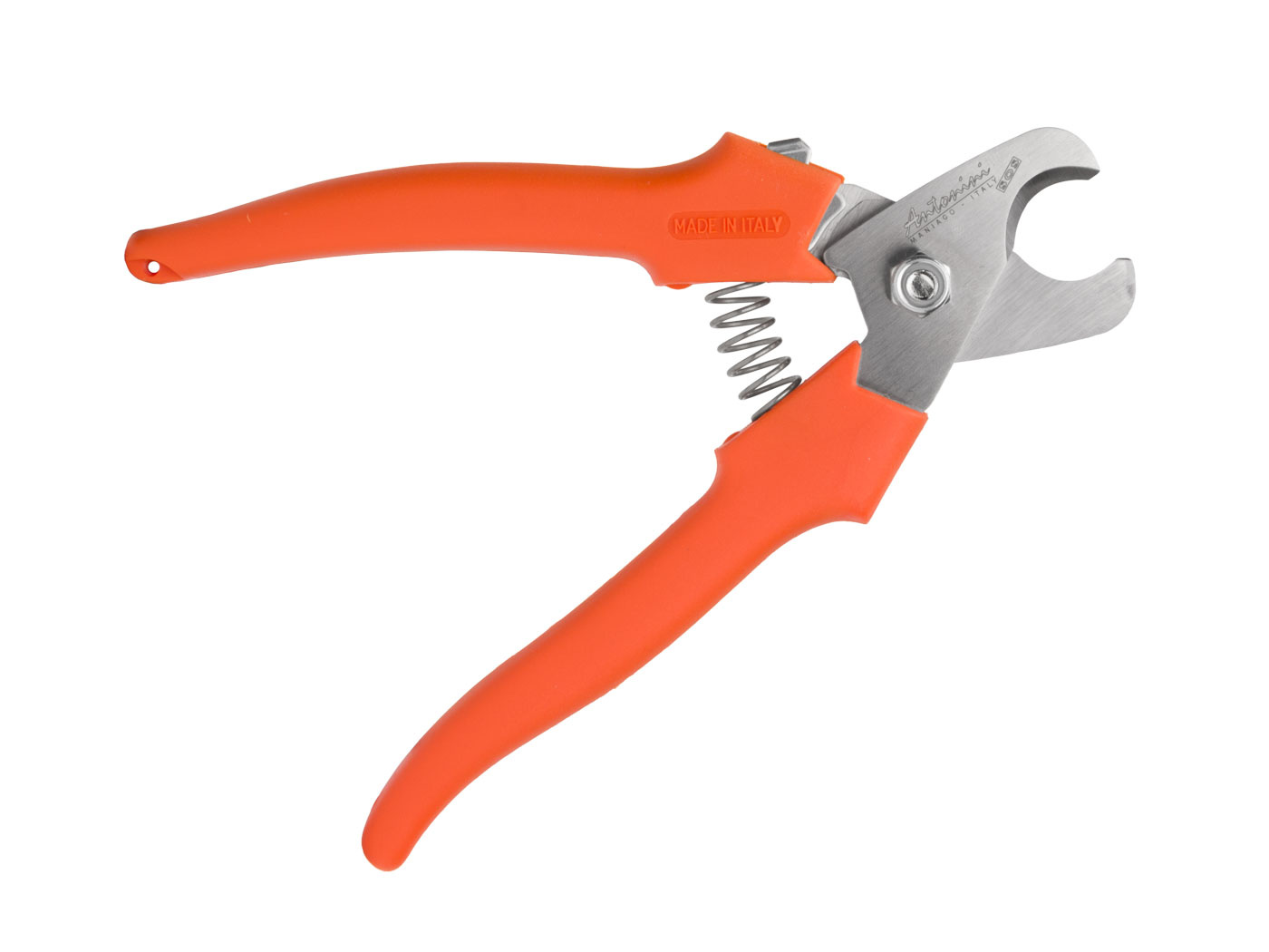 Antonini Antonini - Lobster