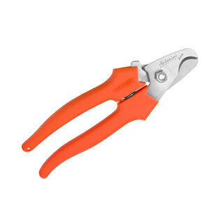 Antonini Antonini - Lobster