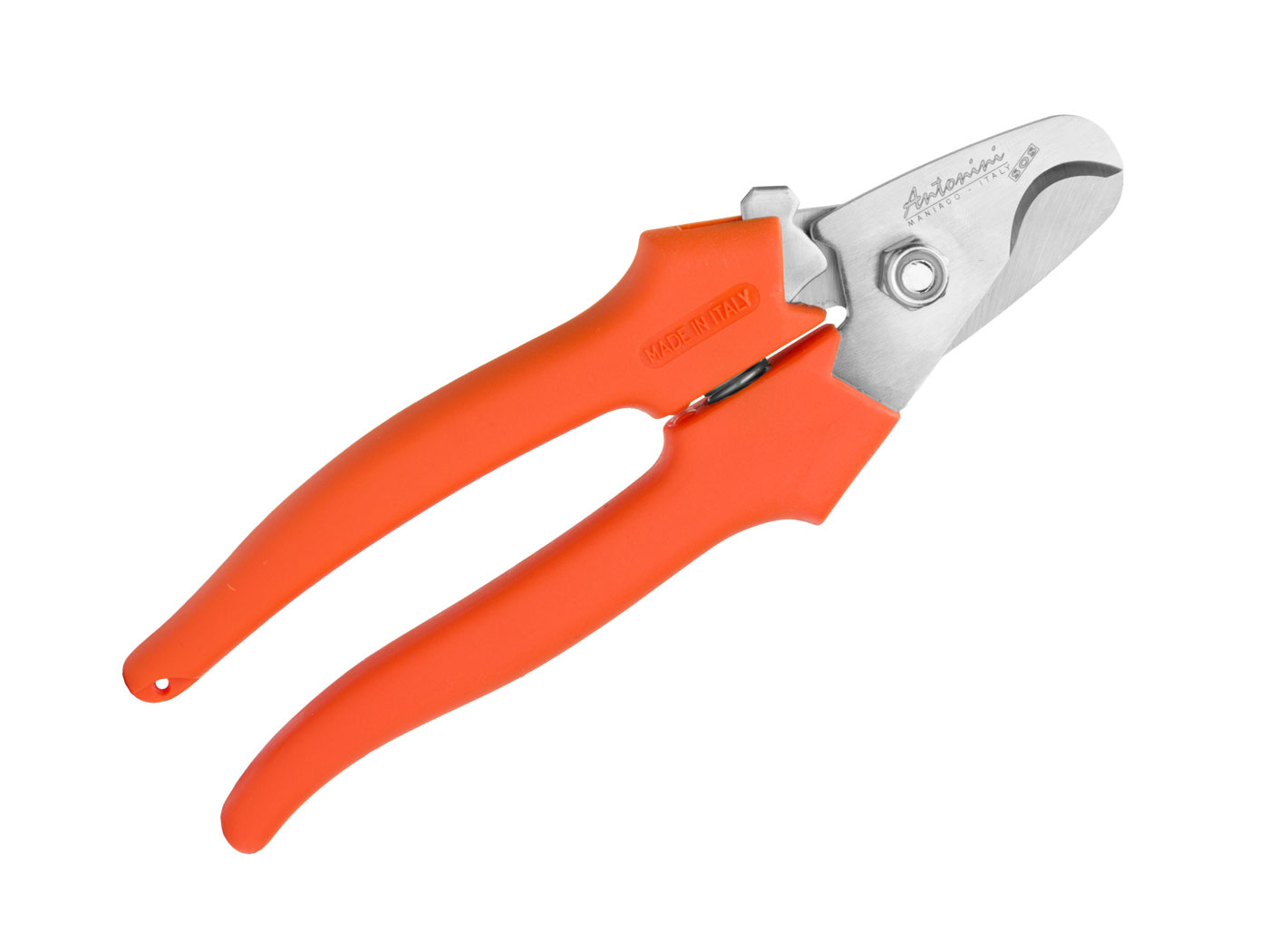 Antonini Antonini - Lobster