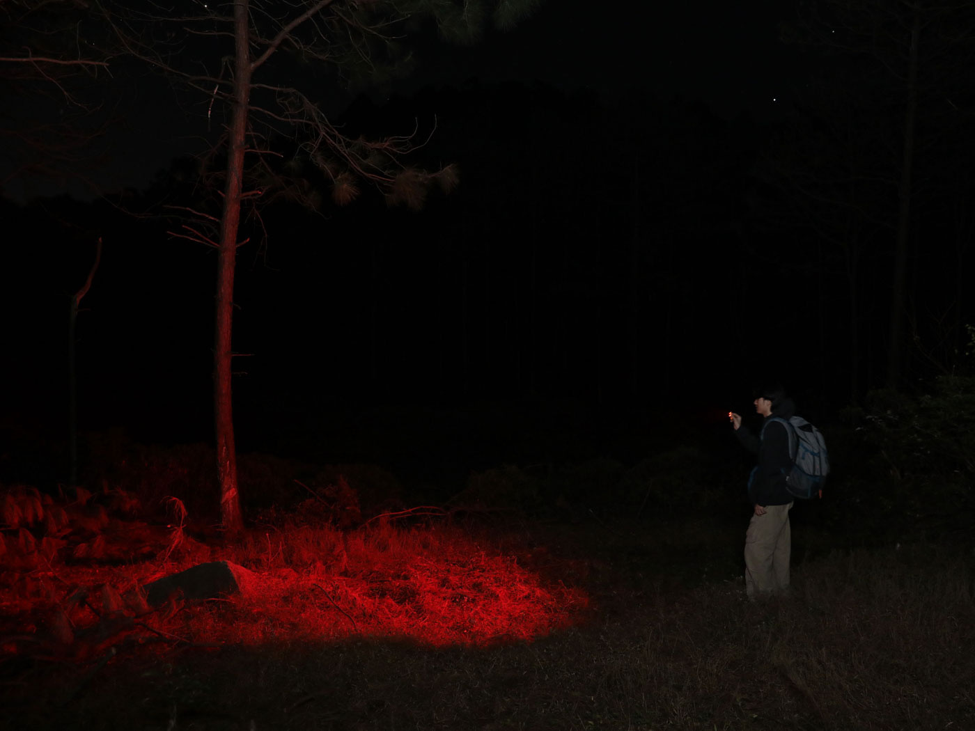 Olight Olight - Oclip Pro - S