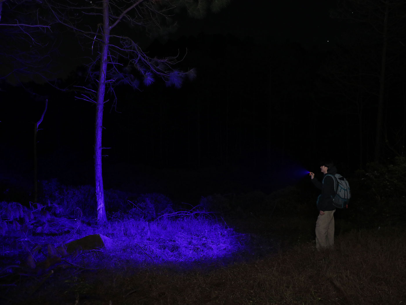 Olight Olight - Oclip Pro - S