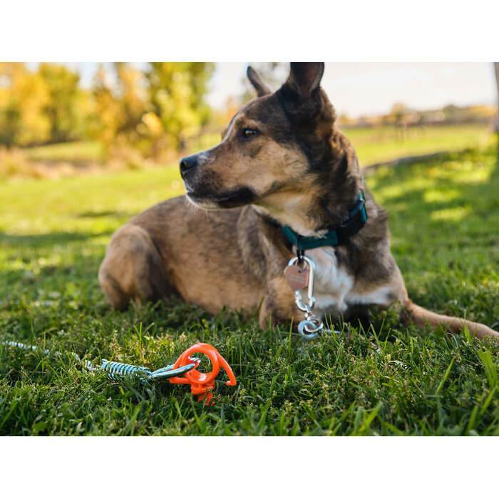 Nite Ize Nite Ize - Orange Screw Ground Anchor - Small - 4 Pack