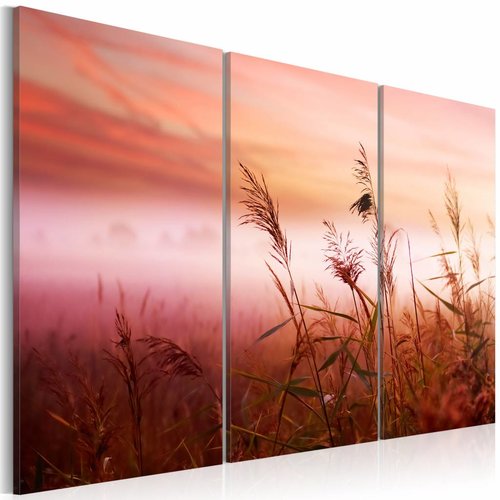 Schilderij - Mistige Weide II, 3luik , roze ,  wanddecoratie , premium print op canvas