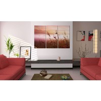 Schilderij - Mistige Weide II, 3luik , roze ,  wanddecoratie , premium print op canvas
