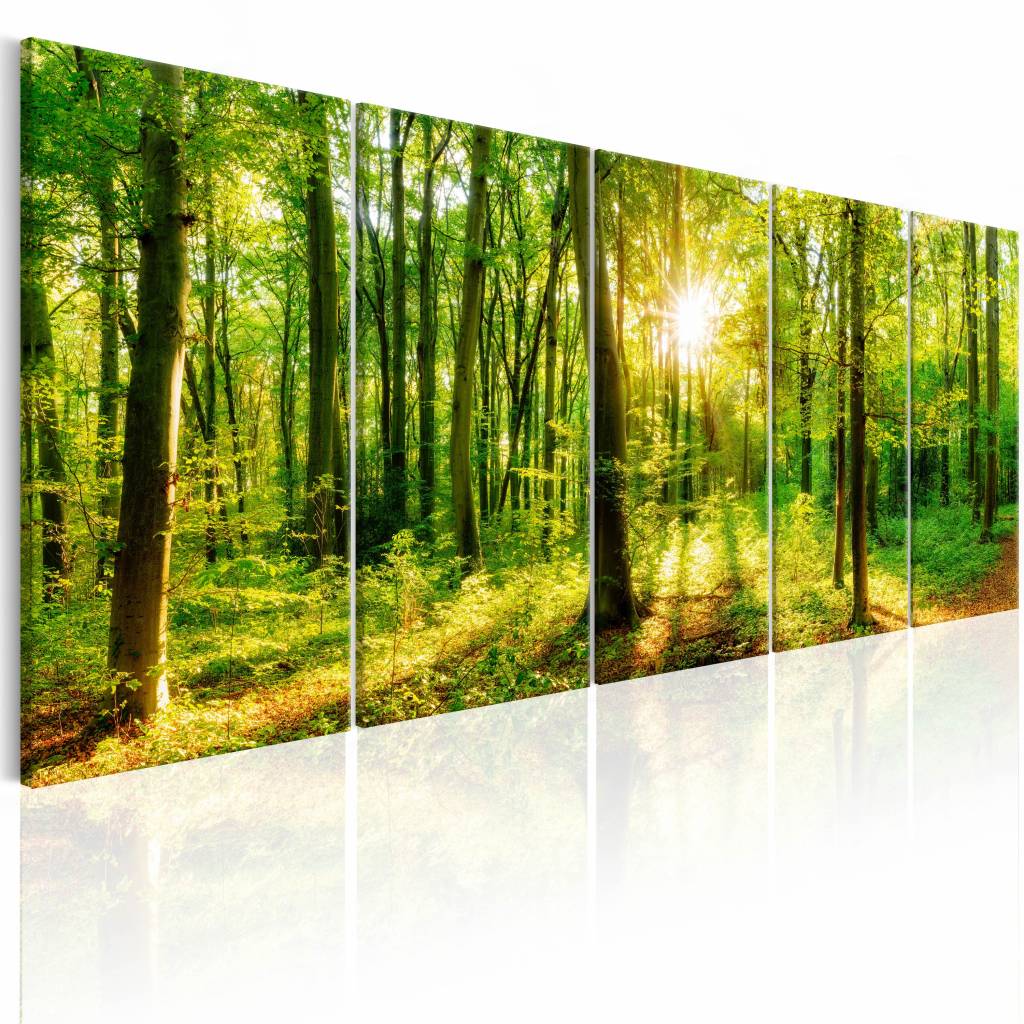 Schilderij - Magisch woud , geel groen , 5 luik , boom afbeelding