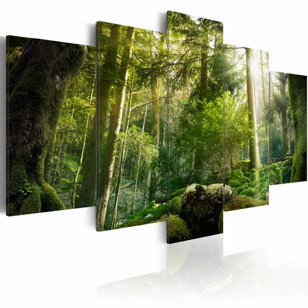 Schilderij - De Schoonheid van het Bos, 5luik , groen , premium print op canvas afbeelding