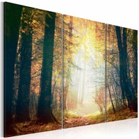 Schilderij - Schoonheid van de Herfst, 3luik , bruin geel , premium print op canvas