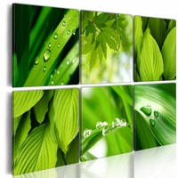 Schilderij - Groene Bladeren, Groen, 6luik , premium print op canvas