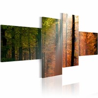 Schilderij - Zonnestralen door de Bomen, 4luik , groen oranje , premium print op canvas