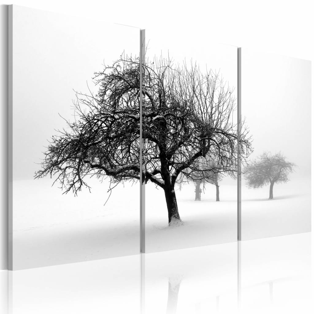 Schilderij - Bomen in de Sneeuw, Zwart-Wit, premium print op canvas 3luik