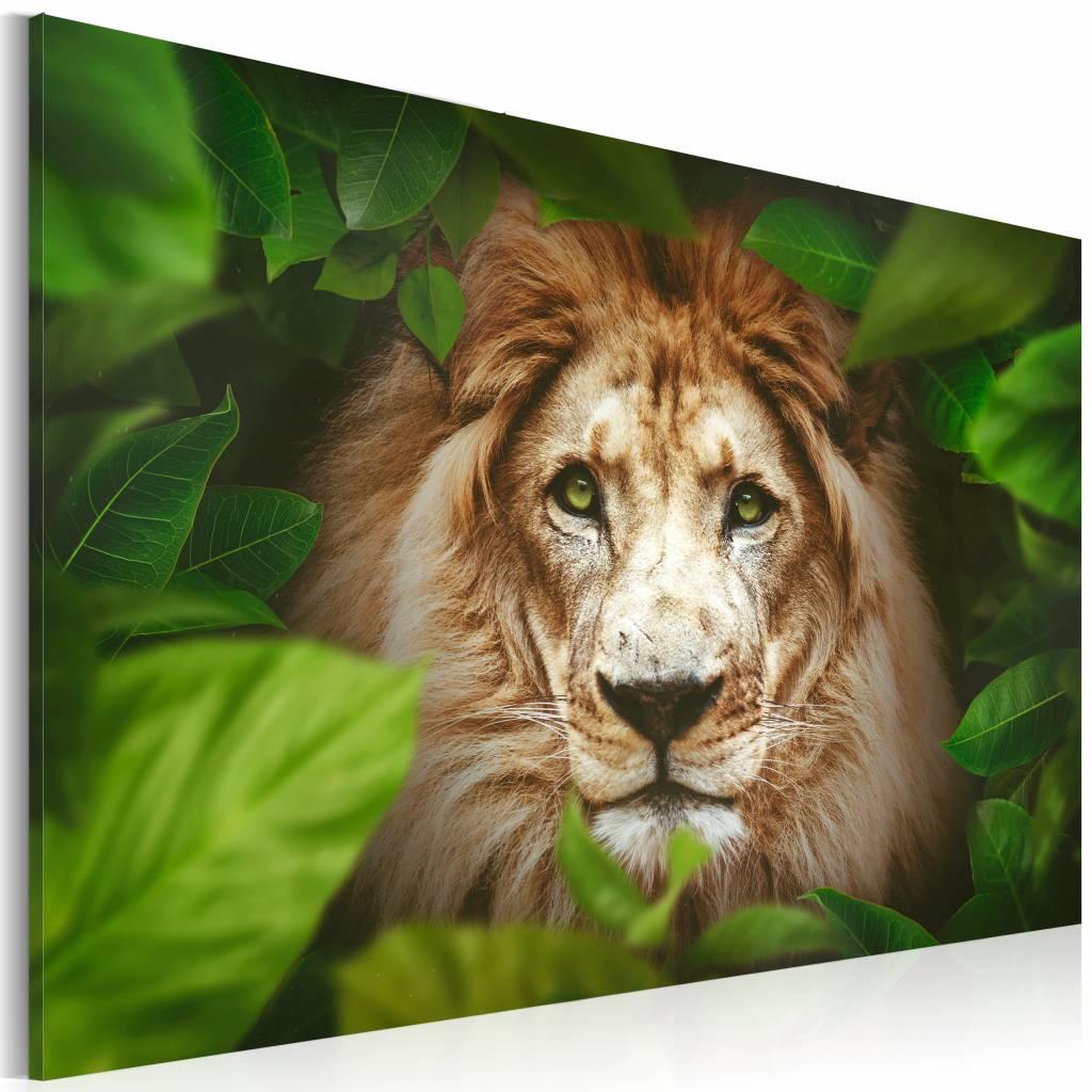 Schilderij - Leeuw in de jungle, Groen/Bruin