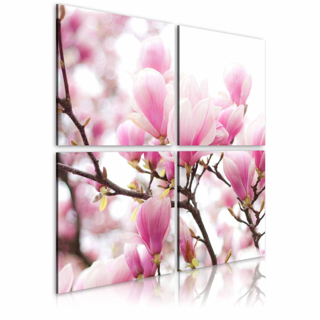 Schilderij - Bloeiende magnolia boom , wit roze , 4 luik