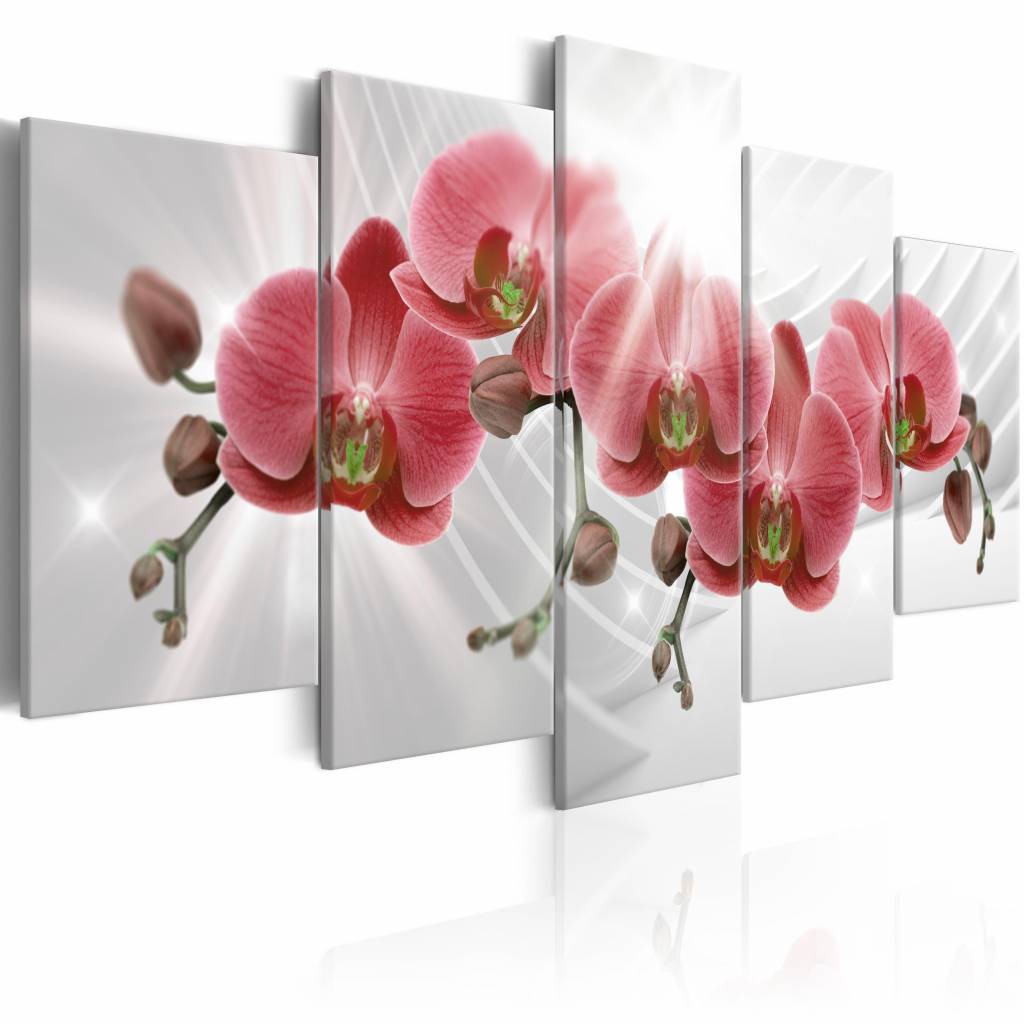 Schilderij - Abstracte tuin: Rode Orchidee , 5 luik