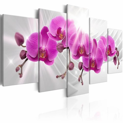 Schilderij - Abstracte tuin: Roze Orchidee ,5 luik