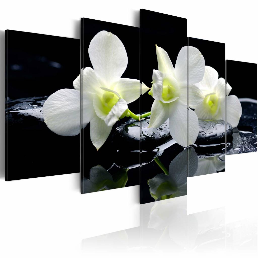 Schilderij - Melancholische Orchidee , zwart wit , 5 luik
