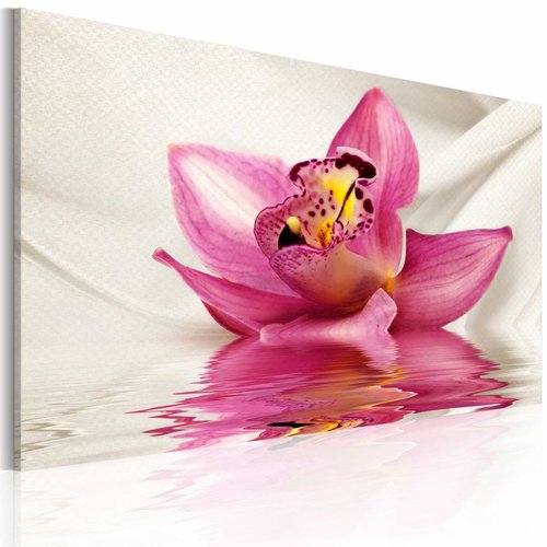 Schilderij - Ongewone Orchidee 60x40cm , wit roze