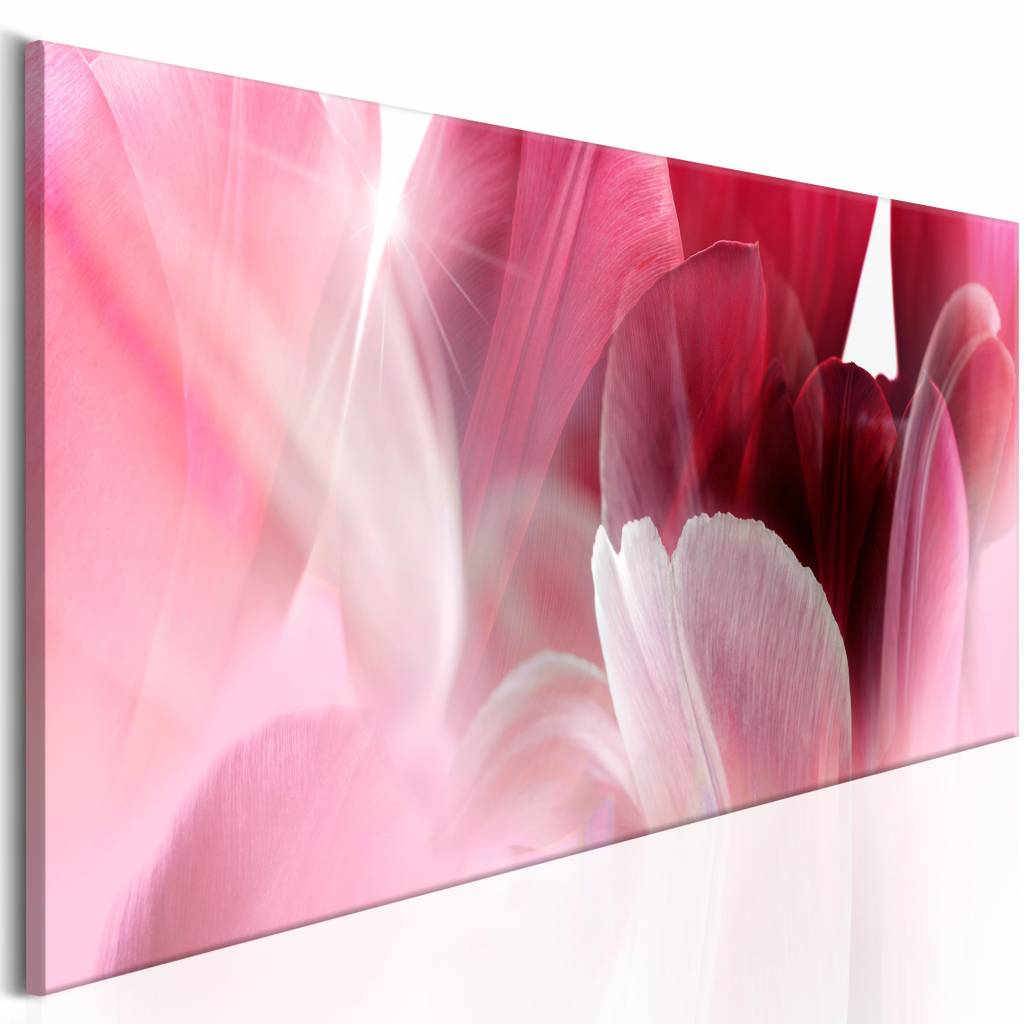 Schilderij - Bloemen: Roze Tulp