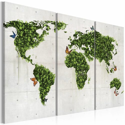 Nadruk Amazon Jungle motor Schilderij - Wereldkaart - Groene land van Vlinders, Groen/Grijs, 3lui -  Karo-art VOF