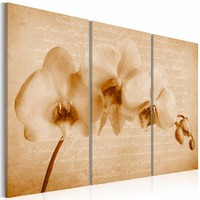 Schilderij - orchidee (vintage) , beige , 3 luik