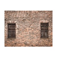 Fotobehang - Gevangenis muur