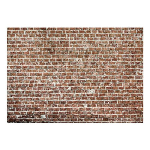 Fotobehang - Muur oude heerschappij