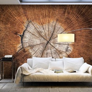 Fotobehang - De ziel van een boom Fotobehang - De ziel van een boom