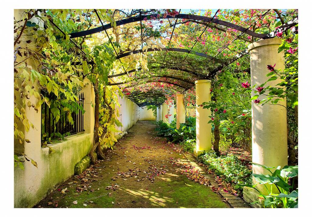 Fotobehang - Prachtige Pergola, 3D look, Vliesbehang, in 5 maten te koop, Instructie bijgesloten, zeer eenvoudig aan te brengen, geen behangtafel nodig afbeelding