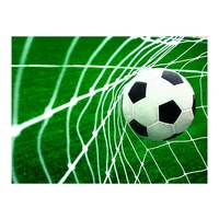 Fotobehang - Goal!   Voetbal