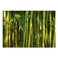 Fotobehang - Oriental Garden, bamboe