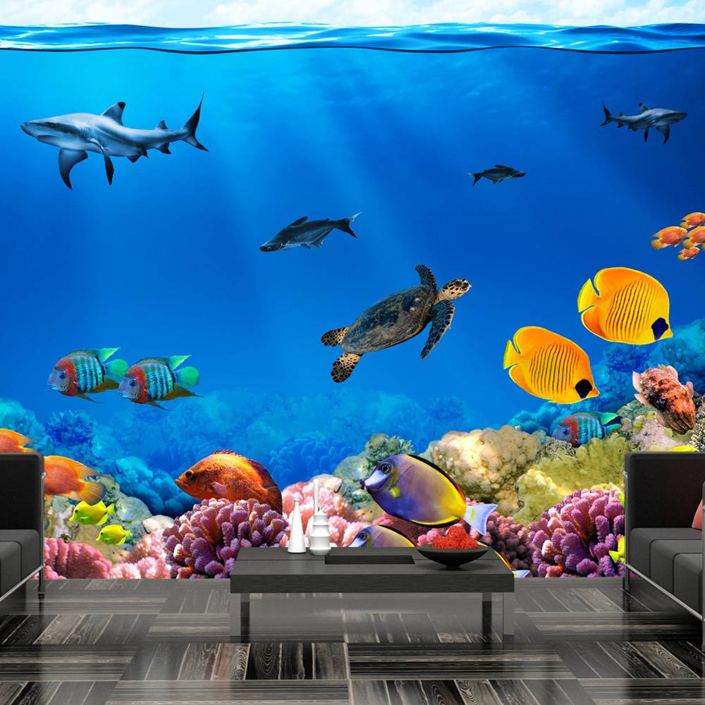 Fotobehang - Onderwater , multi kleur afbeelding