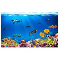 Fotobehang - Onderwater , multi kleur Fotobehang - Onderwater , multi kleur