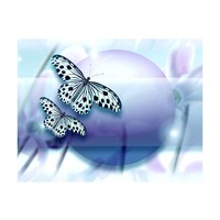 Fotobehang - Planeet van Vlinders , multi kleur