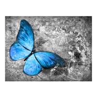 Fotobehang - Vlinder in rust , grijs blauw