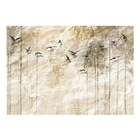 Fotobehang - Papieren wereld , beige zwart Fotobehang - Papieren wereld , beige zwart