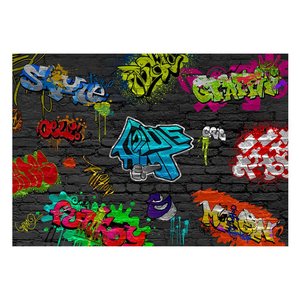 Fotobehang - Graffiti muur, multi-gekleurd, 5 maten, premium print vliesbehang, voor woon en slaapkamer, eenvoudig aan te brengen, geen behangtafel nodig, instructies bijgesloten