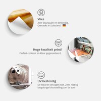 Fotobehang - Touch (Michelangelo) , grijs wit Fotobehang - Touch (Michelangelo) , grijs wit