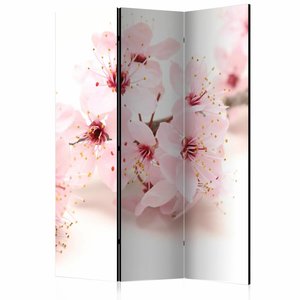 Vouwscherm / Kamerscherm - Kersenbloesem 135x172cm , gemonteerd geleverd, dubbelzijdig geprint