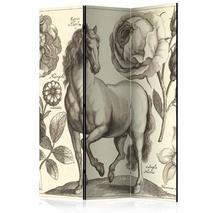 Vouwscherm / Kamerscherm - Paard 135x172cm , gemonteerd geleverd , dubbelzijdig geprint