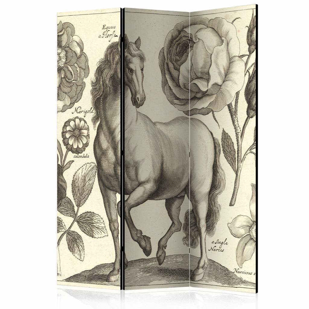 Vouwscherm / Kamerscherm - Paard 135x172cm , gemonteerd geleverd , dubbelzijdig geprint afbeelding
