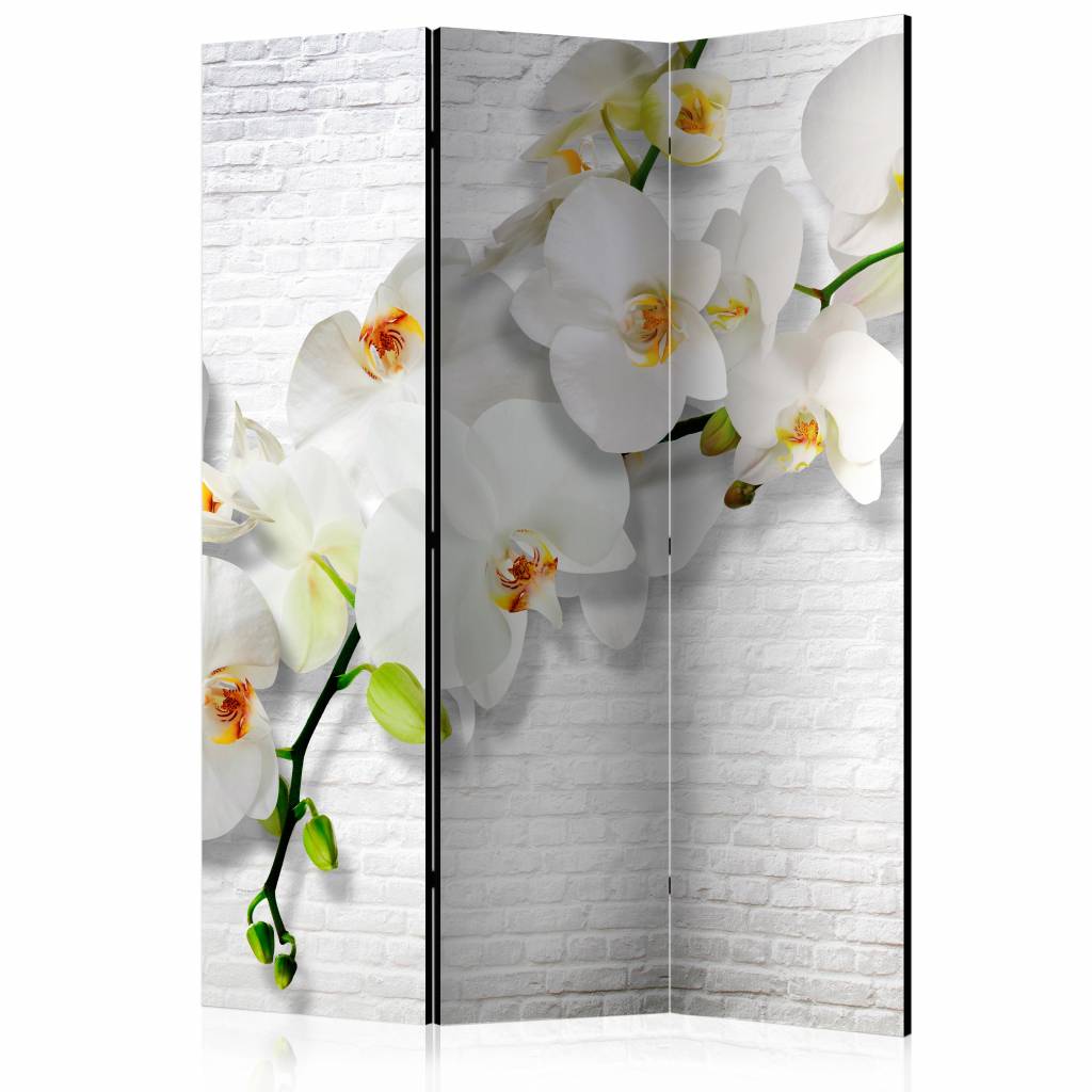 Vouwscherm / Kamerscherm - Orchidee op witte muur 135x172cm, gemonteerd geleverd dubbelzijdig geprint afbeelding