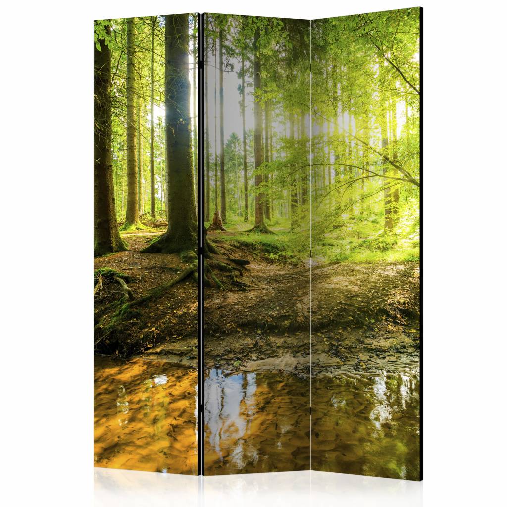 Vouwscherm / Kamerscherm - Zonlicht in het bos 135x172cm , gemonteerd geleverd dubbelzijdig geprint afbeelding